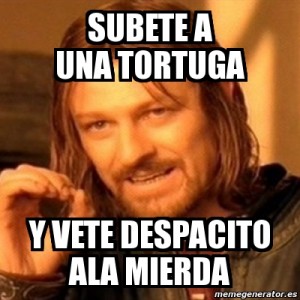 meme_subete_a_una_tortuga_y_vete_despacito_a_la_mierda