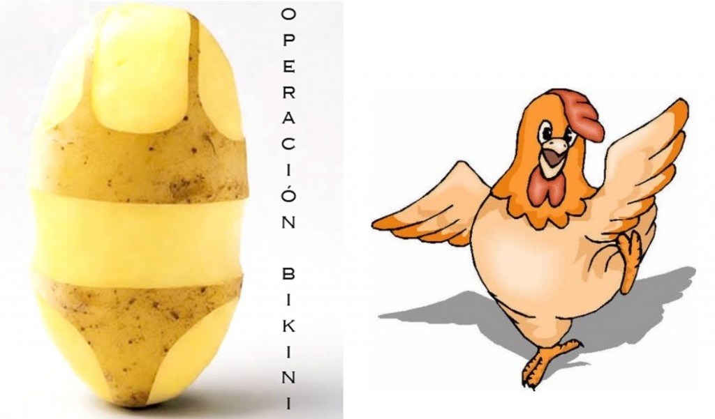 pollo_operacion_bikini